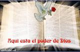 http://media.photobucket.com/image/biblia/abdiel77/biblia.jpg?o=109
